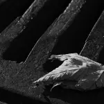 Risanamento fognature: quando è necessario, come funziona e i costi